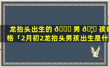龙抬头出生的 🐋 男 🦈 孩命格「2月初2龙抬头男孩出生是什么命」